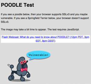 Testing for Poodle SSLv3